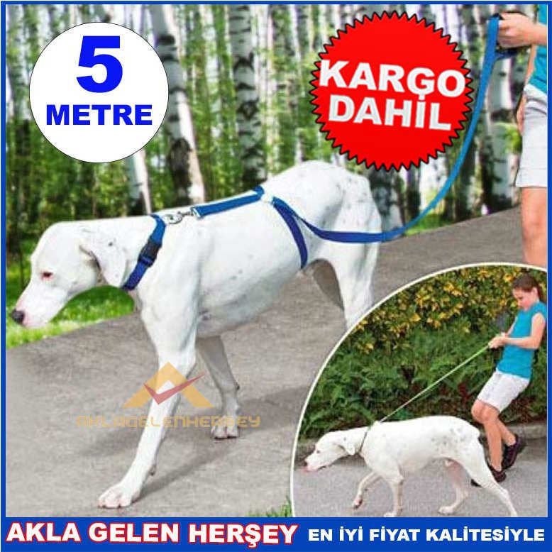 KÖPEK EĞİTİM TASMASI İNSTANT TRAİNER LEASH KD