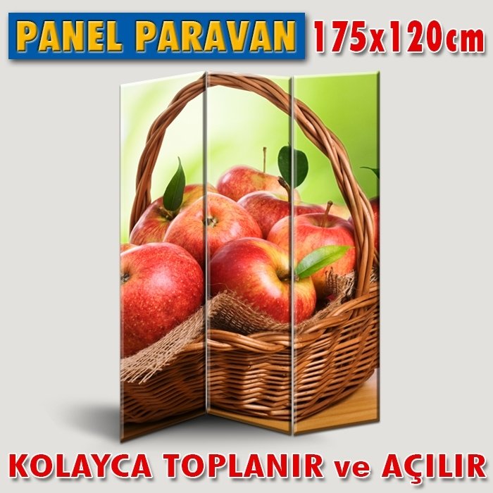 GÖRSELLİ KATLANIR PANEL BÖLME SİSTEMİ - ELMALAR
