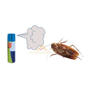 BAYER SİNEKLERE KARŞI ETKİLİ ÖLDÜRCÜ SİNEK İLACI