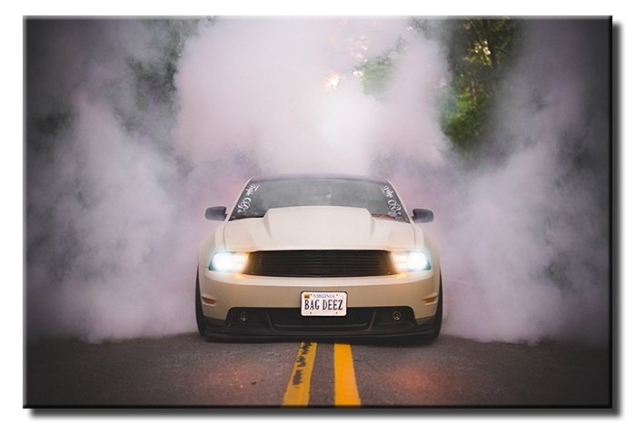 LASTİK YAKAN MUSTANG 6 değişen ölçü ORİJİNAL KANVAS TABLO