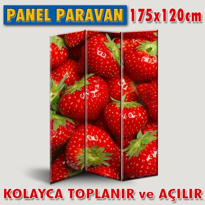 GÖRSELLİ KATLANIR PANEL BÖLME SİSTEMİ - ÇİLEKLER 4
