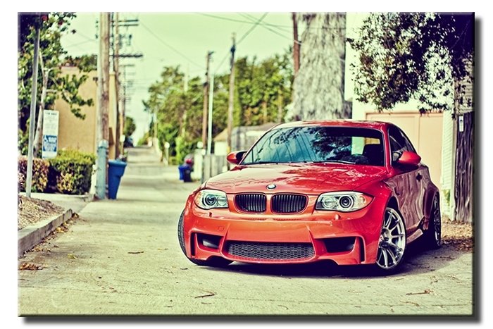 KURBAĞA BAKIŞLI BMW 6 değişen ölçü ORİJİNAL KANVAS TABLO