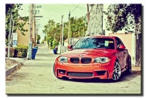 KURBAĞA BAKIŞLI BMW 6 değişen ölçü ORİJİNAL KANVAS TABLO