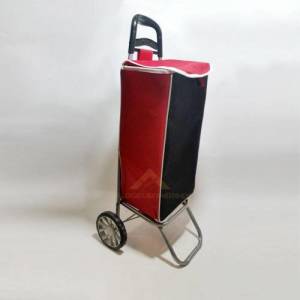 Metal Ana Gövdeden Yapılma Sağlam Katlanıp Ayrılabilen Yıkanabilen Tekerlekli Pazar Arabası