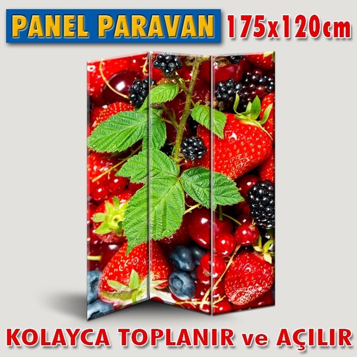 GÖRSELLİ KATLANIR PANEL BÖLME SİSTEMİ - ÇİLEKLER 3