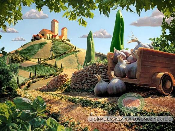100x70cm ÇERÇEVELİ CANVAS TABLO FANTASY A01001