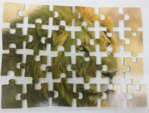 24 PARÇADAN OLUŞAN EĞLENCELİ ASLAN FİGÜRLÜ AHŞAP PUZZLE