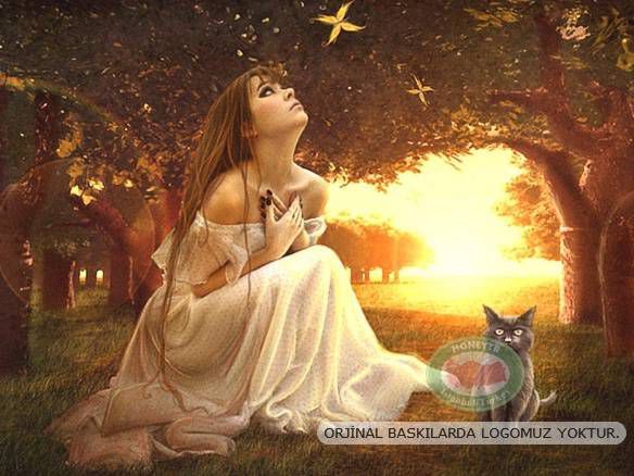 100x70cm ÇERÇEVELİ CANVAS TABLO FANTASY A00987