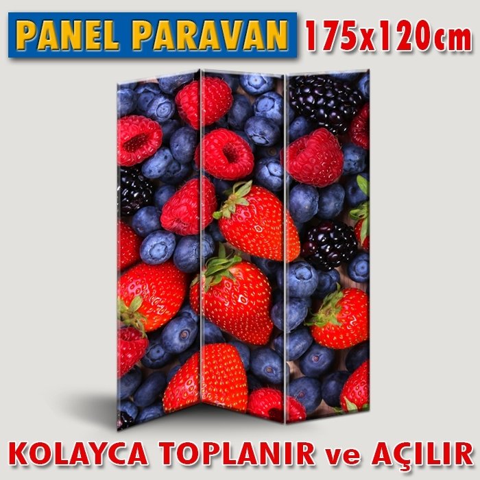 GÖRSELLİ KATLANIR PANEL BÖLME SİSTEMİ - ÇİLEKLER 2