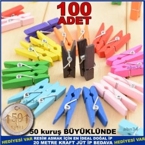 Rengarenk 100 ad renkli mini ahşap mandal,20mt özel ip hediye
