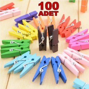 Rengarenk 100 ad renkli mini ahşap mandal,20mt özel ip hediye