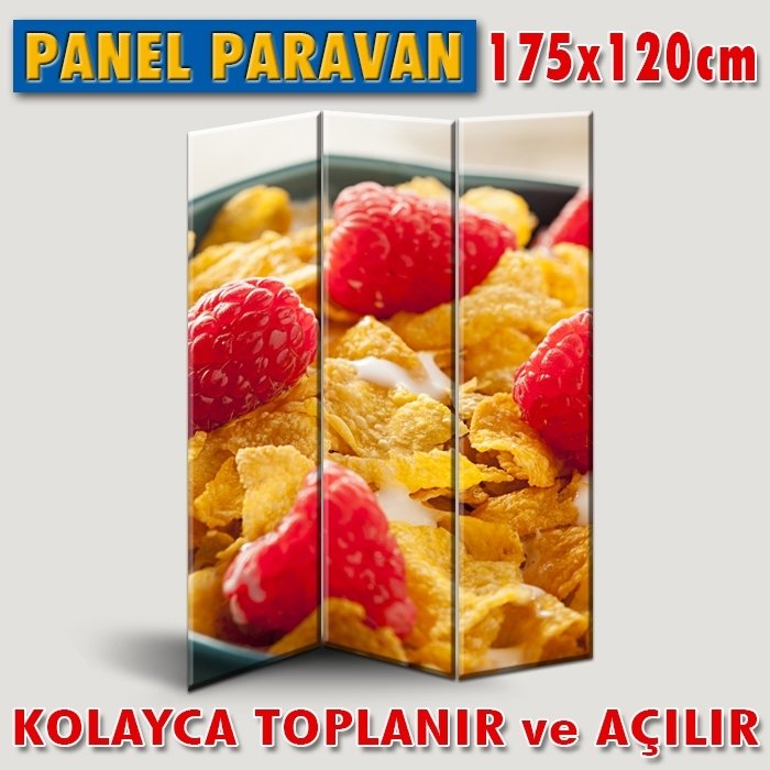 GÖRSELLİ KATLANIR PANEL BÖLME SİSTEMİ - AHUDUDULAR