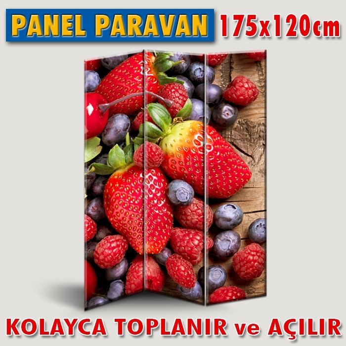 GÖRSELLİ KATLANIR PANEL BÖLME SİSTEMİ - ÇİLEKLER