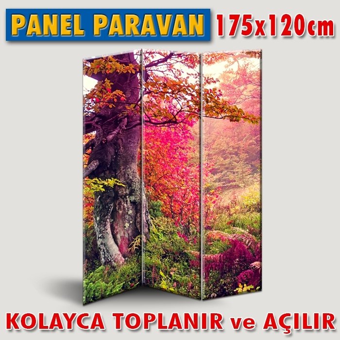 GÖRSELLİ KATLANIR PANEL BÖLME SİSTEMİ - DOĞANIN KIRMIZILARI