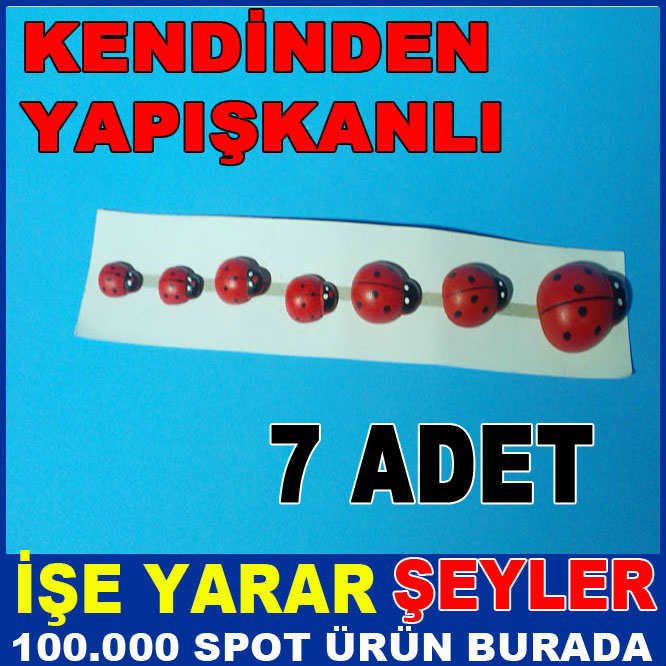 UGUR BÖCEGİ DESENLİ YAPIŞKANLI BUZDOLABI SÜSÜ