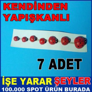 UGUR BÖCEGİ DESENLİ YAPIŞKANLI BUZDOLABI SÜSÜ
