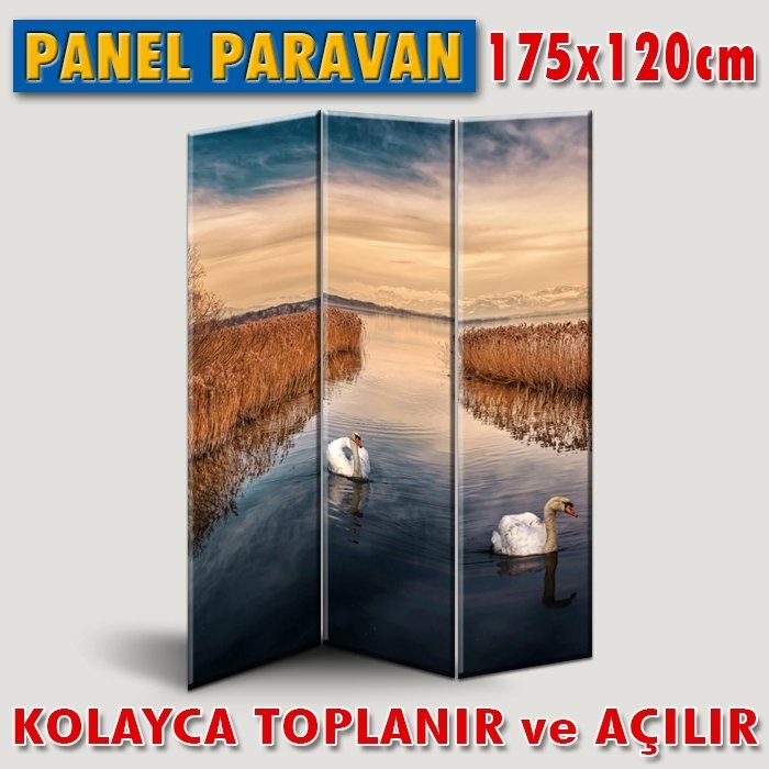 GÖRSELLİ KATLANIR PANEL BÖLME SİSTEMİ - SAZLIKLARDAKİ KUĞULAR