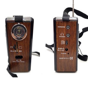 Taşınabilir Şarjlı Karaoke Mikrofonlu ve Işıklı Usb Aux Sd Card Fm Radio Özellikli Müzik Kutusu