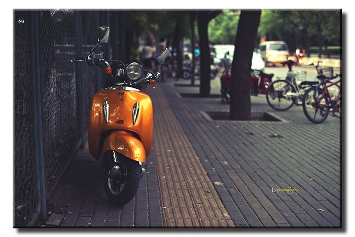HONDA JOKER 6 değişen ölçü ORİJİNAL KANVAS TABLO