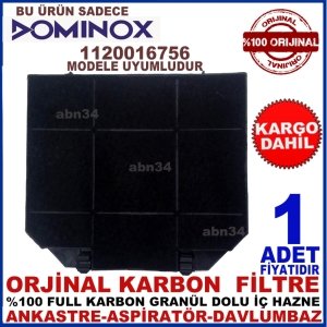 DOMİNOX  1120016756 ANKASTRE DAVLUMBAZ FİLTRESİ-1013