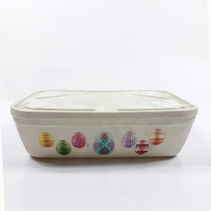 Yumurta Saklama Kabı Sızdırmaz Kapaklı 27x19x8 cm