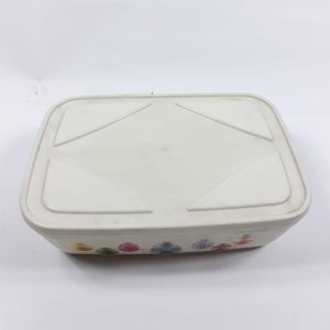 Yumurta Saklama Kabı Sızdırmaz Kapaklı 27x19x8 cm