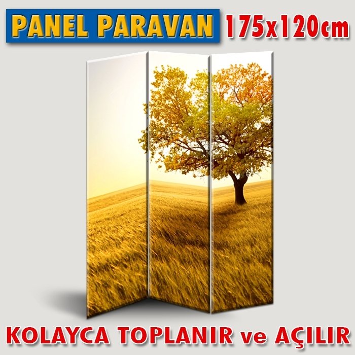 GÖRSELLİ KATLANIR PANEL BÖLME SİSTEMİ - ALTIN YALNIZ AĞAÇ