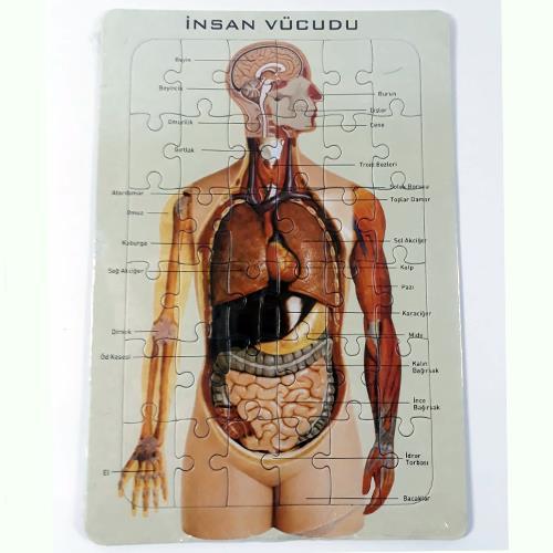 20 Parça İnsan Vücudu Organ Ve İskelet Puzzle Eğitici Öğretici