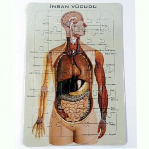 20 Parça İnsan Vücudu Organ Ve İskelet Puzzle Eğitici Öğretici