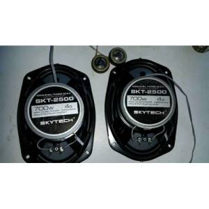 Oval Araç Hoparlörü 15x22 cm 2li Skytech SKT 2500 Oto Ses Sistemi