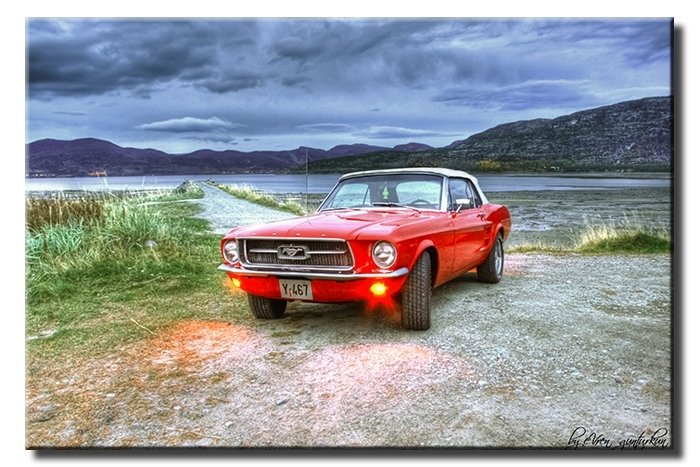 GÖL BAŞINDA MUSTANG 6 değişen ölçü ORİJİNAL KANVAS TABLO