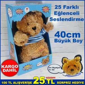 Vurulduğunda 25 Eğlenceli Sesli Oyuncak Mazlum Peluş Ayıcık