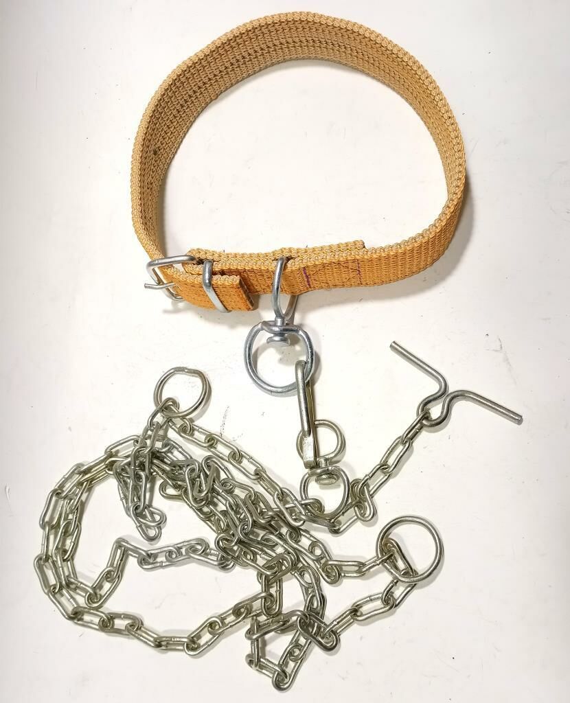 70cm Kurt Kangal tarzı Büyük Köpeklere Özel Zinciriyle Tam Set Köpek Tasması Rahat Dana Boyunluğu