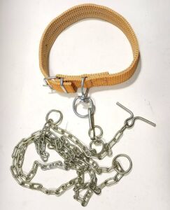 70cm Kurt Kangal tarzı Büyük Köpeklere Özel Zinciriyle Tam Set Köpek Tasması Rahat Dana Boyunluğu