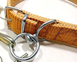 70cm Kurt Kangal tarzı Büyük Köpeklere Özel Zinciriyle Tam Set Köpek Tasması Rahat Dana Boyunluğu