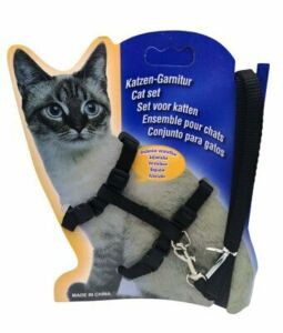 Ayarlanabilir Kedi Göğüs Tasması Siyah