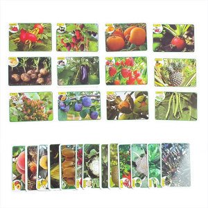 İlk 50 Meyve Sebze Kartları Çocuklar İçin Eğitici ve Zeka Geliştirici Oyun Kartları