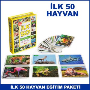 İlk 50 Hayvan Kartları Çocuklar İçin Eğitici ve Zeka Geliştirici Oyun Kartları