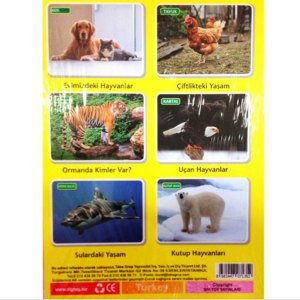 İlk 50 Hayvan Kartları Çocuklar İçin Eğitici ve Zeka Geliştirici Oyun Kartları