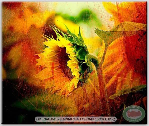 100x70cm ÇERÇEVELİ CANVAS TABLO ÇİÇEK AYF12497