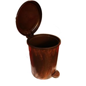 Siyah üzerine Altın Fırca Desen Dizayn Pedallı Çöp Kovası 34*27