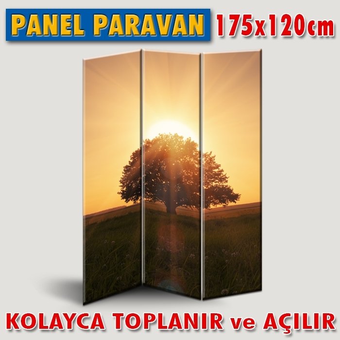 GÖRSELLİ KATLANIR PANEL BÖLME SİSTEMİ - YALNIZ AĞAÇ IŞIĞI