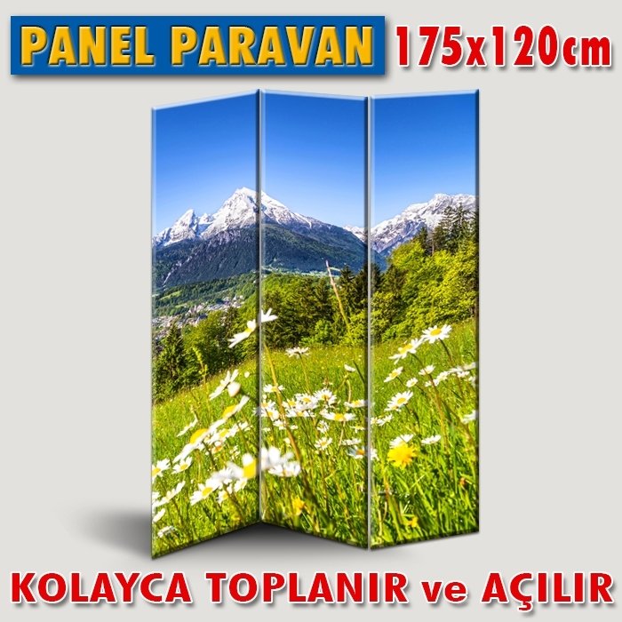 GÖRSELLİ KATLANIR PANEL BÖLME SİSTEMİ - KARLI DAĞLAR VE PAPATYA