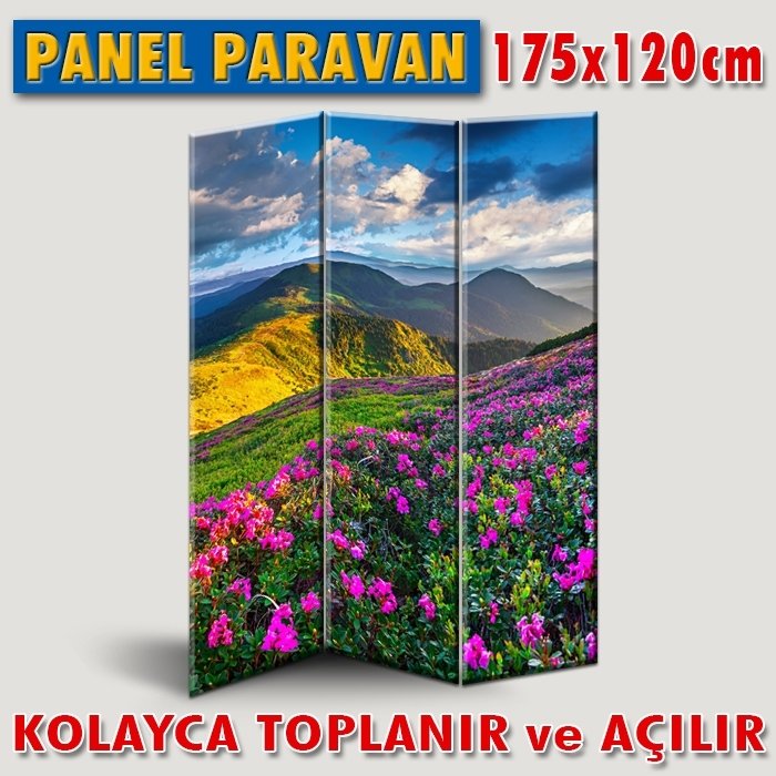 GÖRSELLİ KATLANIR PANEL BÖLME SİSTEMİ - YÜKSEKLERDEKİ RENKLER