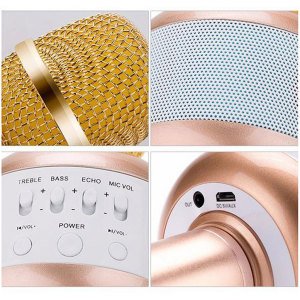 BİRLİK 1688-D1 MÜZİKLİ BÜYÜK KARAOKE MİKRAFON