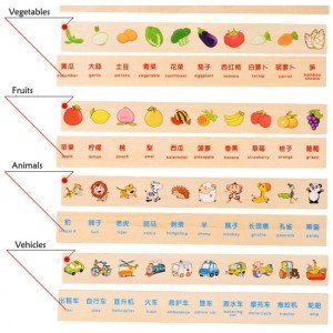 Bilgi Sınıflandırma Kutusu 8 Adet Tema Kartı 80 Adet Küçük Kart Renkli Figürlü Ahşap Oyuncak