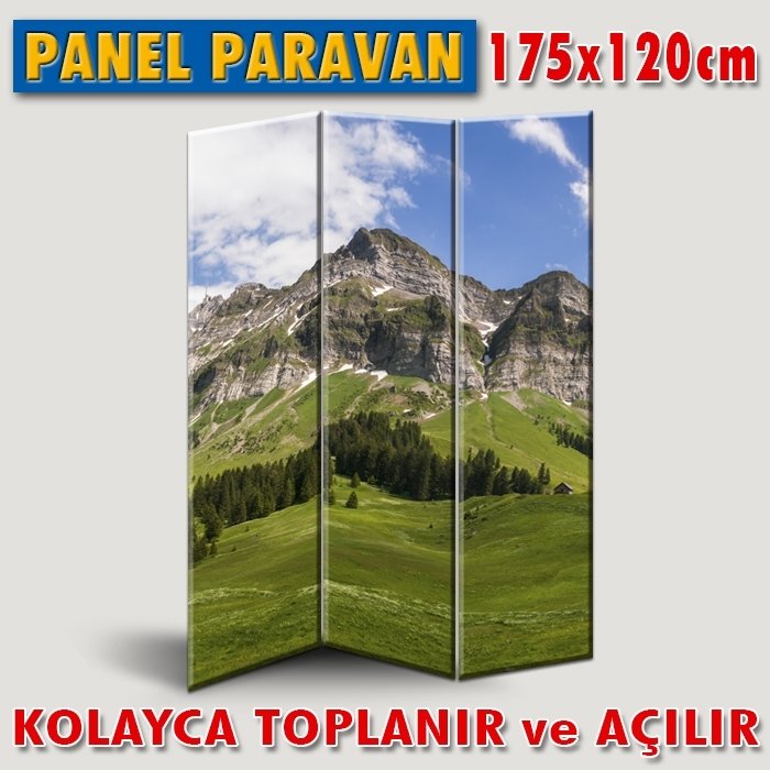 GÖRSELLİ KATLANIR PANEL BÖLME SİSTEMİ - YEŞİLDEN MAVİLİĞE