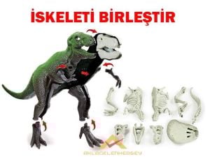 ESLİ IŞIKLI BÜYÜK TREX DİNAZOR MODEL OYUNCAK