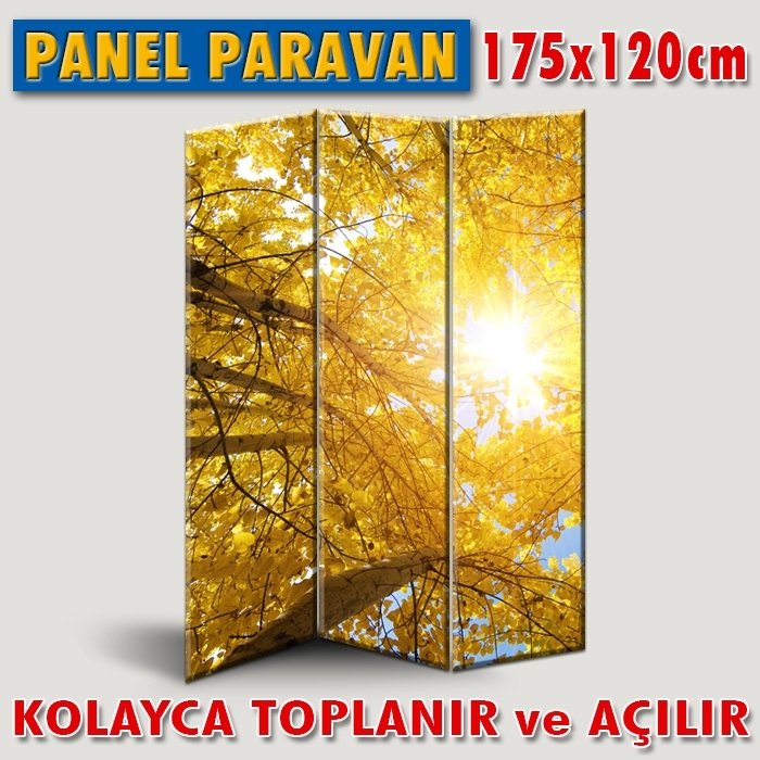 GÖRSELLİ KATLANIR PANEL BÖLME SİSTEMİ-SONBAHAR AĞAÇLARDA GÜNEŞ