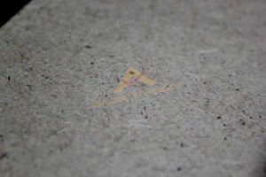 BÜFE TİPİ AÇILI KESİM AHŞAP STREÇ FİLM STANDI